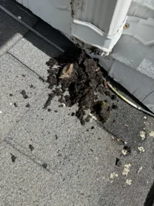 Debris removed beside a home