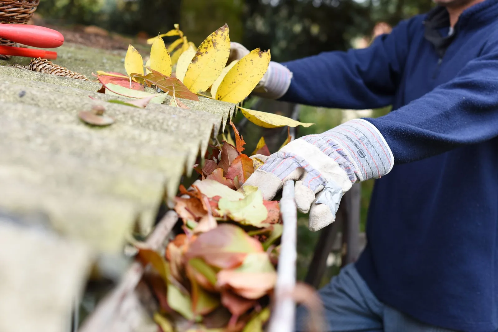 A professional removing leaves from a gutter
